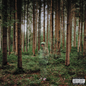 I Love You I'm Trying (New LP)