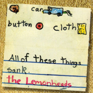 CAR BUTTON CLOTH (CD)