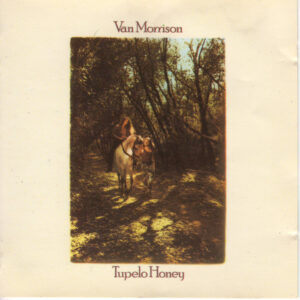 TUPELO HONEY (CD)