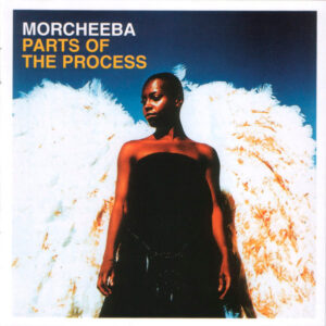 PARTS OF THE PROCESS (CD)