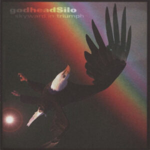 SKYWARD TRIUMPH (CD)