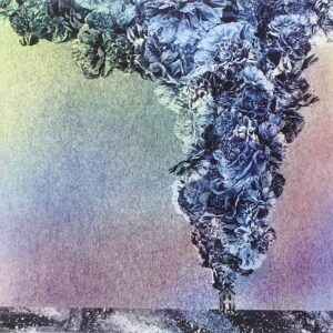 CARNATION