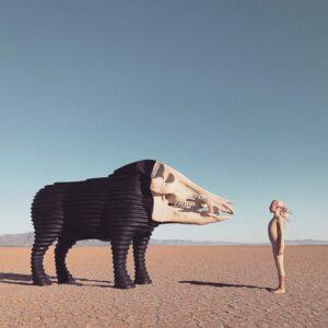 DREAM HUNTING IN THE VALLEY OF (CD)