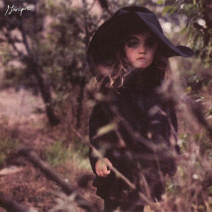 DRAGGING A DEAD DEAR UP A HILL (CD)