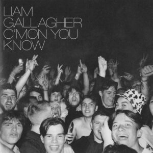 C'MON YOU KNOW (CD)