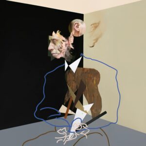 TRIAGE (CD)