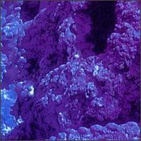 Dreamt About Dreaming (CD)