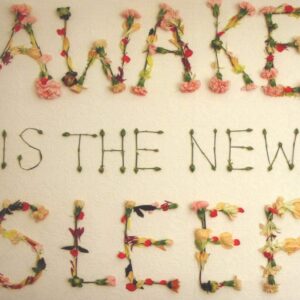 AWAKE IS THE NEW SLEEP (CD)