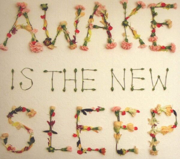 AWAKE IS THE NEW SLEEP (CD)