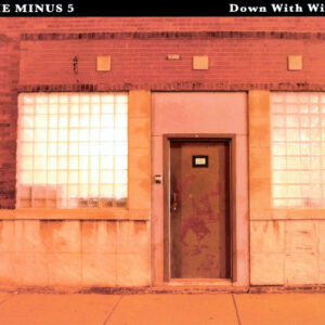 DOWN WITH WILCO (CD)
