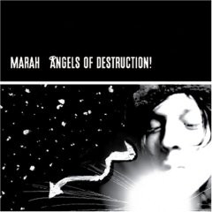 ANGELS OF DESTRUCTION (CD)