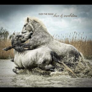 LOVE & REVELATION (CD)