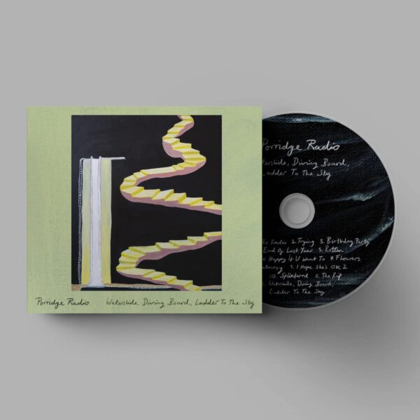 WATERSLIDE DIVING BOARD LADDER (CD)