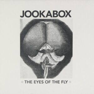 EYES OF THE FLY