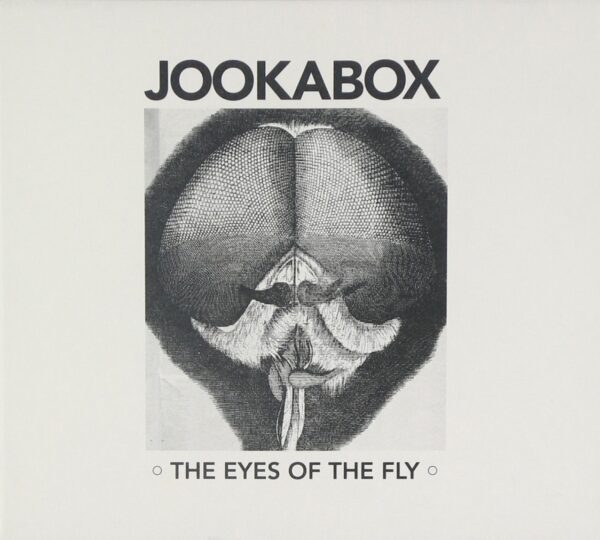 EYES OF THE FLY