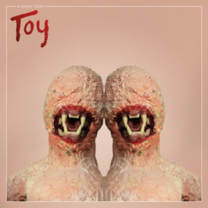 TOY (CD)