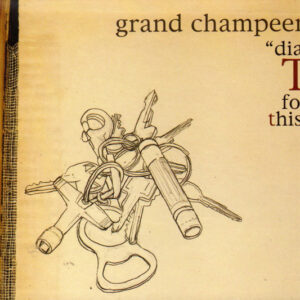 DIAL T FOR THIS (CD)