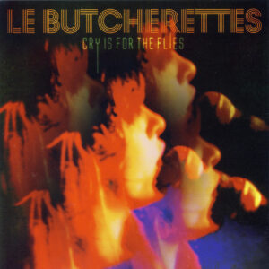 CRY IS FOR THE FLIES (CD)