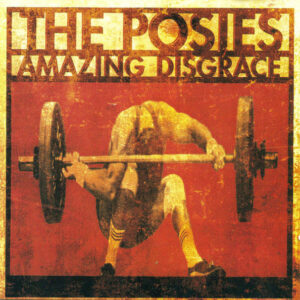 AMAZING DISGRACE (CD)
