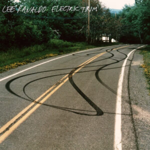 ELECTRIC TRIM (CD)