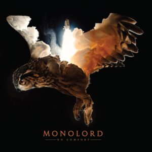 NO COMFORT (CD)