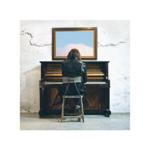 Into The Wide (CD)