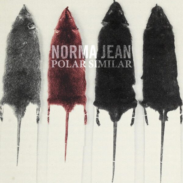 POLAR SIMILAR (CD)