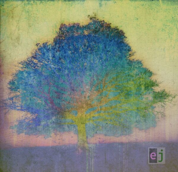 EJ (CD)
