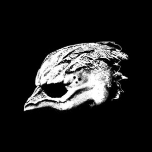 LEGEND OF THE SEAGULLMEN (CD)