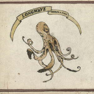 THERE'S A FIRE (CD)