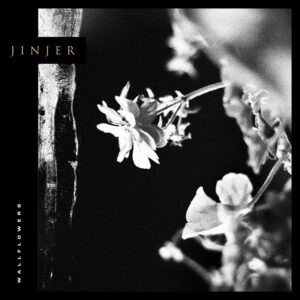 WALLFLOWERS (CD)