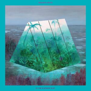 IN THE RAINBOW RAIN (CD)
