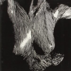 SELF PRESERVED WHILE THE BODIES FLOAT UP (CD)