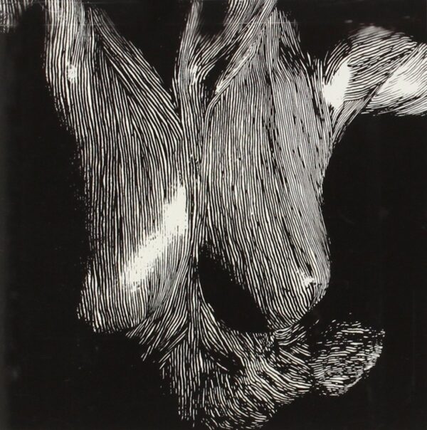 SELF PRESERVED WHILE THE BODIES FLOAT UP (CD)