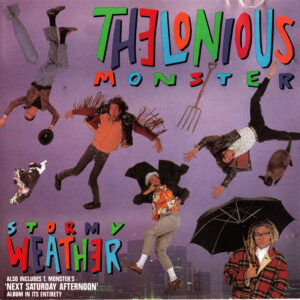 Stormy Weather (CD)