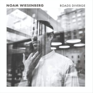 ROADS DIVERAGE (CD)