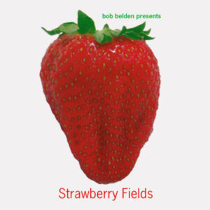 STRAWBERRY FIELDS