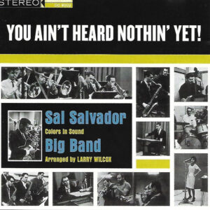 YOU AIN'T HEARD NOTHIN' YET (CD)