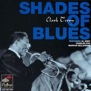 SHADES OF BLUES
