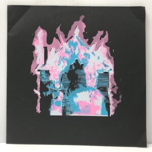 Ntwin (USED LP)