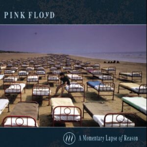 Momentary Lapse of Reason (CD)