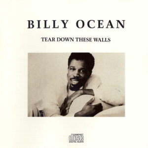 TEAR DOWN THESE WALLS (CD)