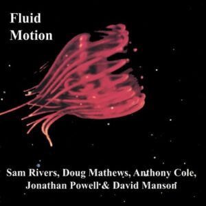 FLUID MOTION (CD)