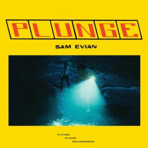 Plunge (New LP)