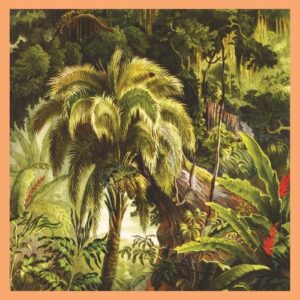 La Foret (NEW LP)