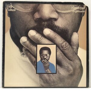 Simplicity Of Expression (USED LP)