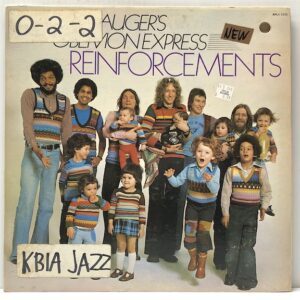 Reinforcements (USED LP)
