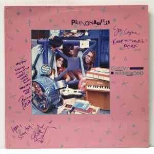 Groovy Neighborhood (USED LP)
