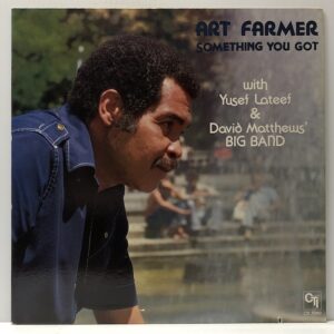 Something You Got (USED LP)