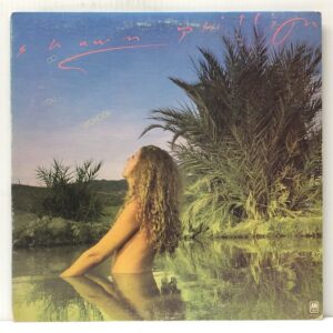 Do You Wonder (USED LP)